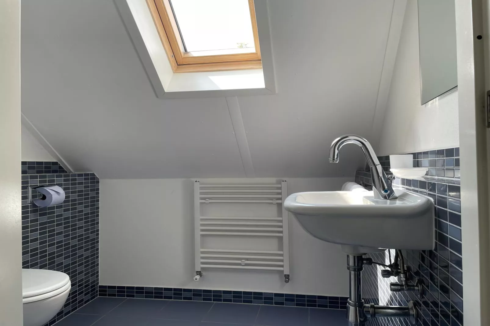 Watervilla de Rietzanger - Badkamer