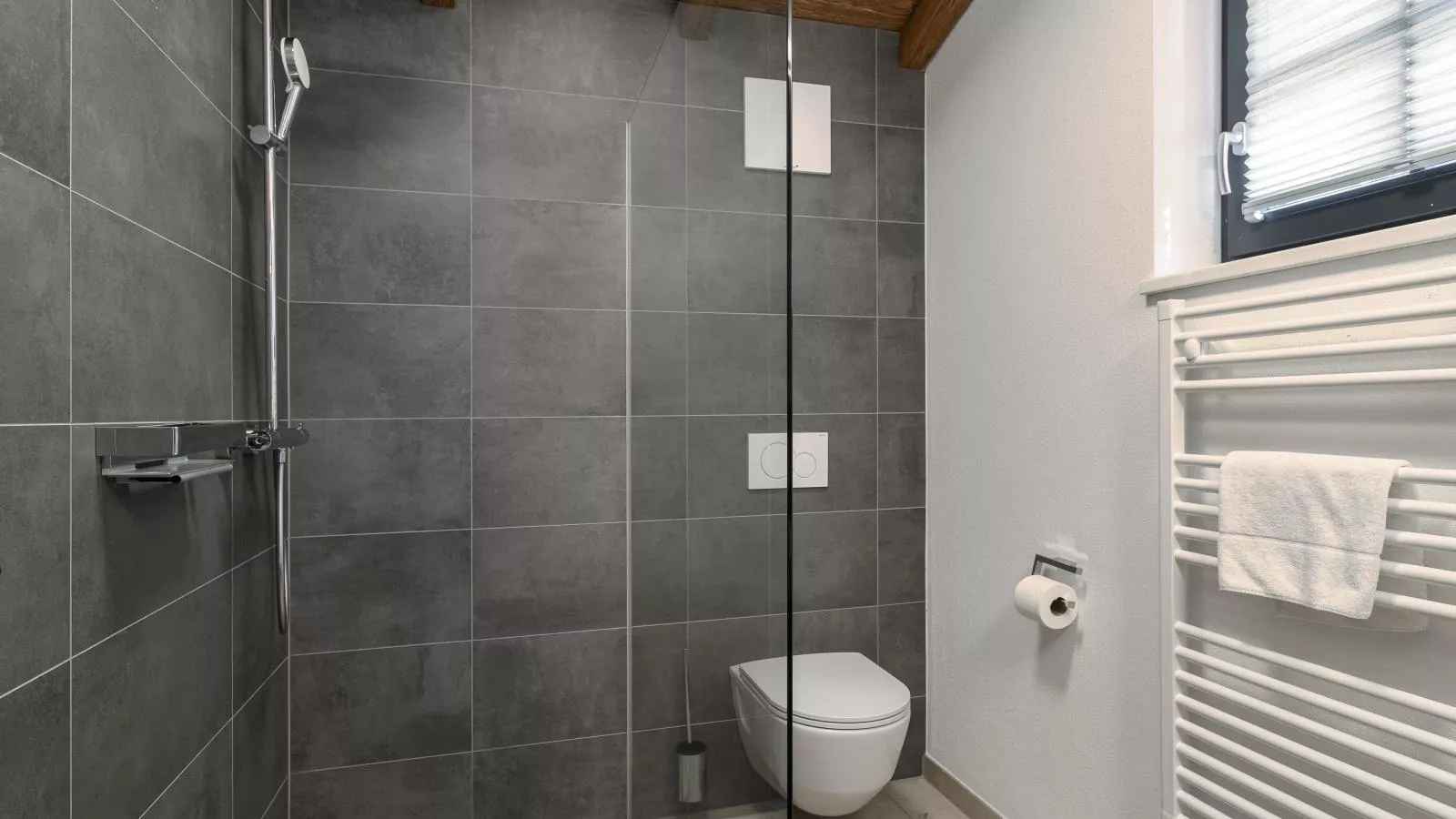 Tauernlodge Eben C1 - Badkamer