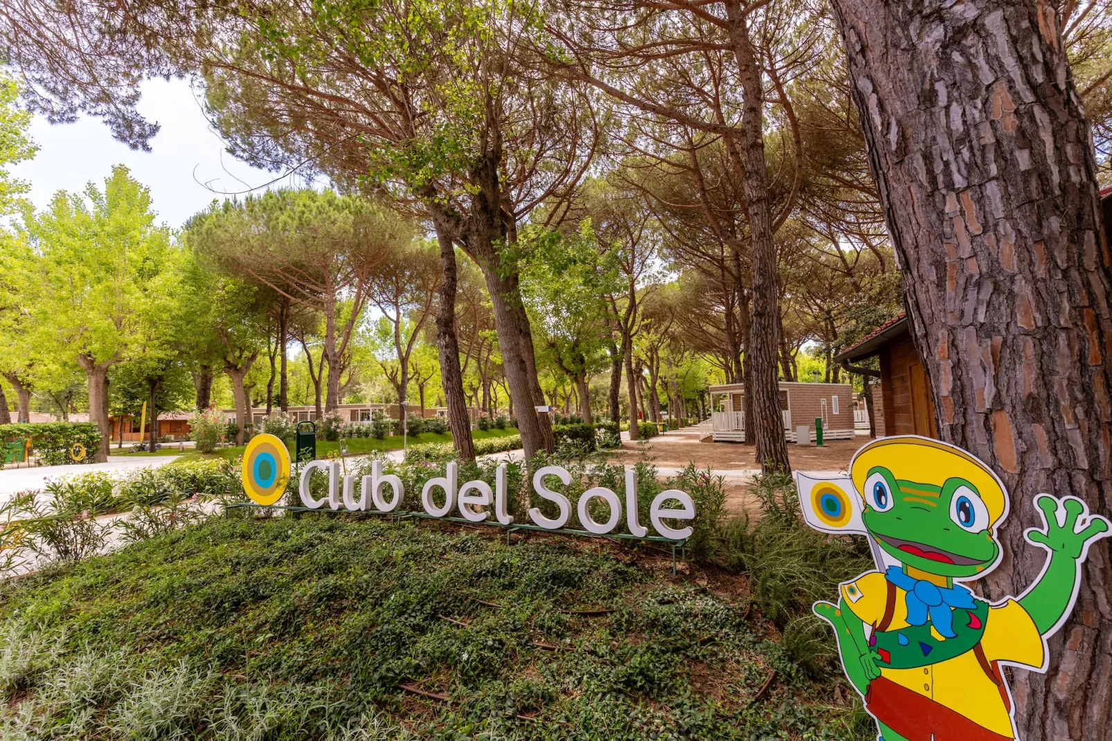 Club del Sole Tenuta Primero Grado Family Collection - LODGE LODGE ELITE - Parkfaciliteiten