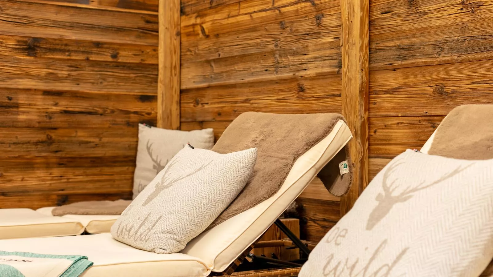 Tauernlodge Eben A3 - Wellness