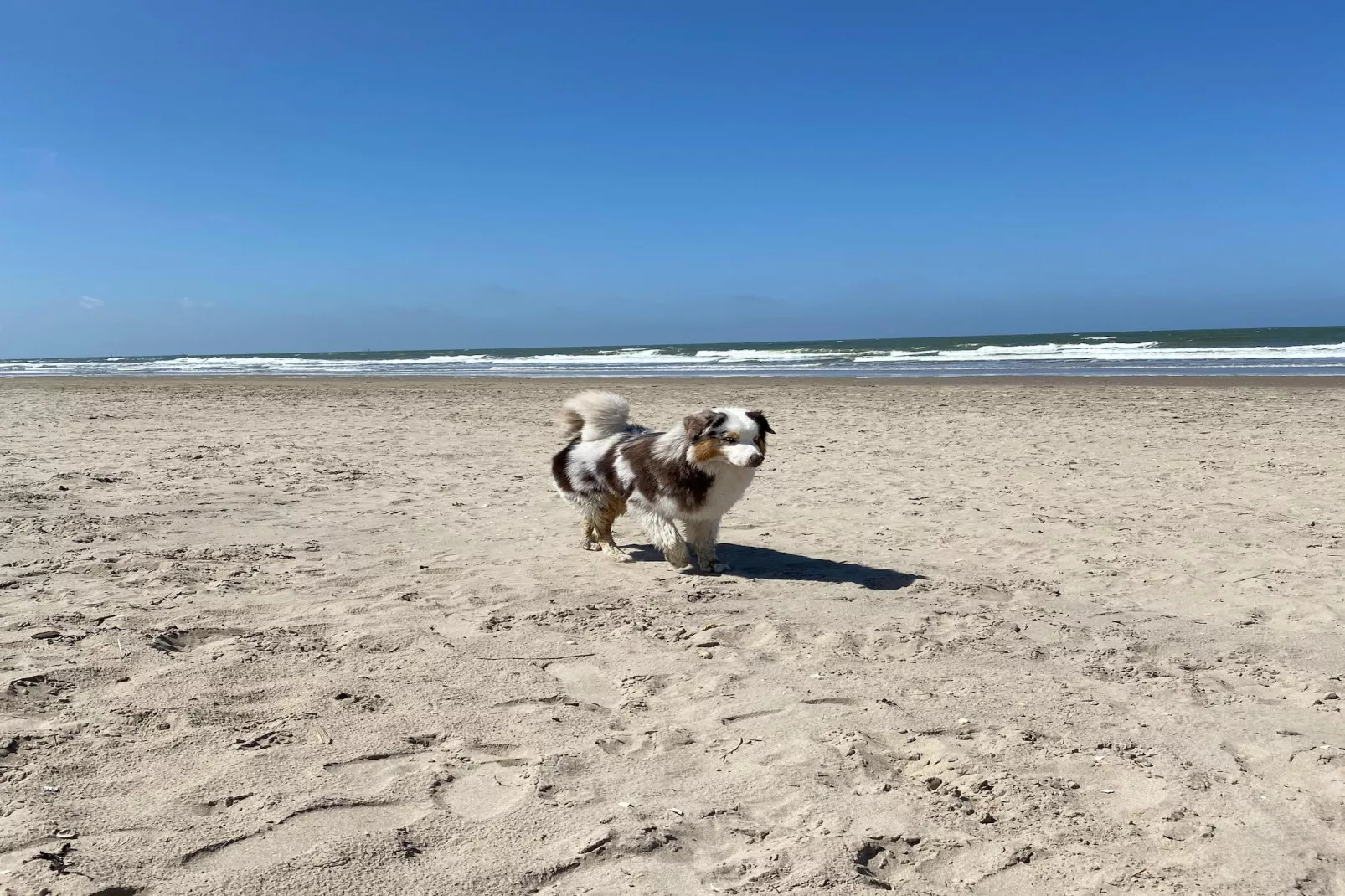 Tussen Duin en Strand - Gebieden zomer 5km