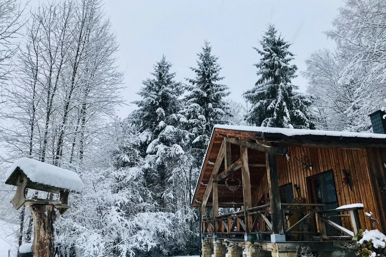 La Linotte - Exterieur winter