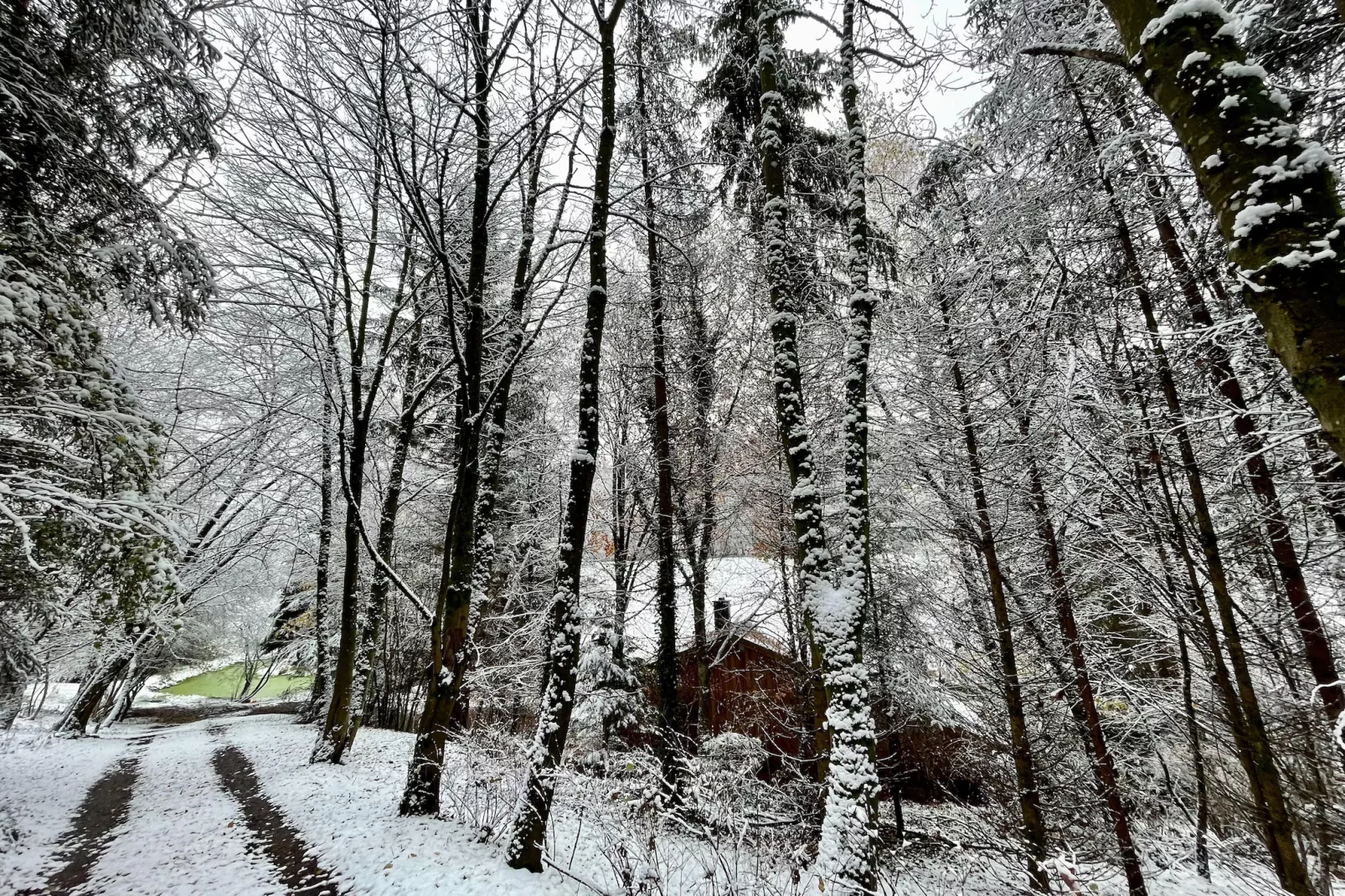 La Linotte - Gebied winter 1km
