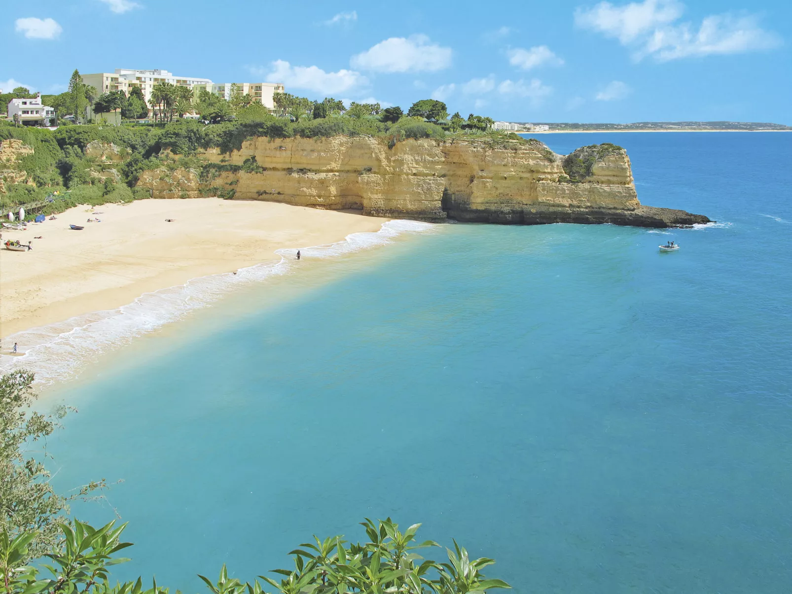 Ninho do Mar - Omgeving