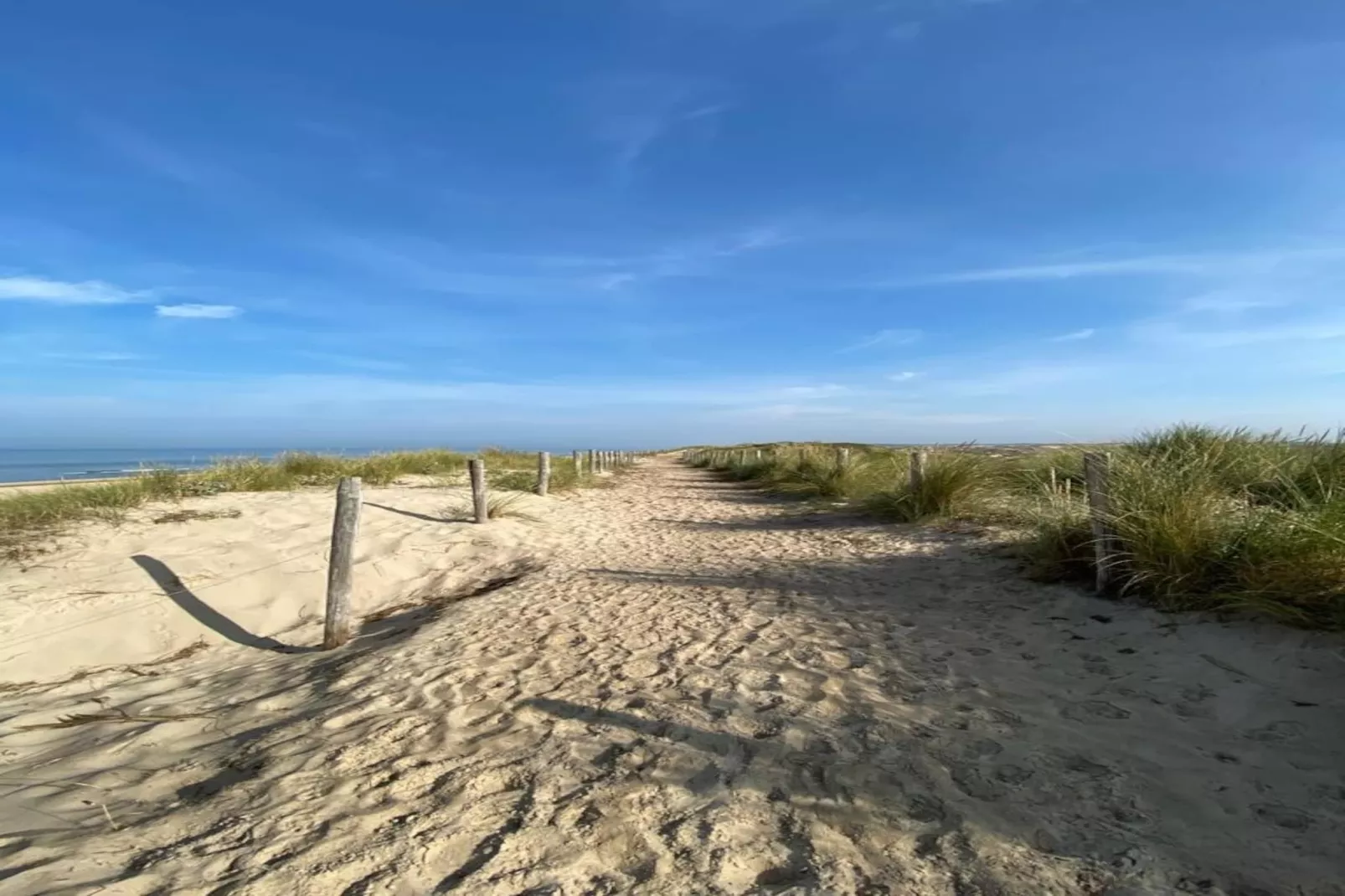 Zon in de duinen - 33 - Gebieden zomer 1km