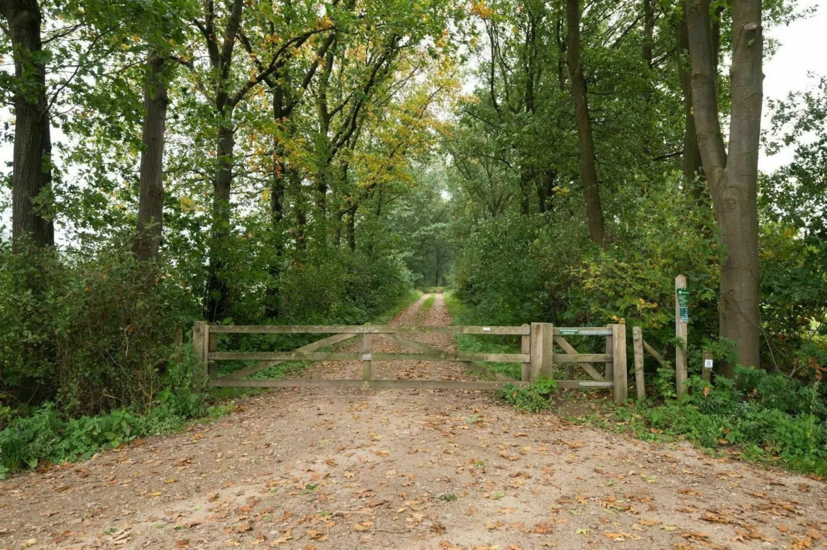 Boshoeve - Gebieden zomer 1km