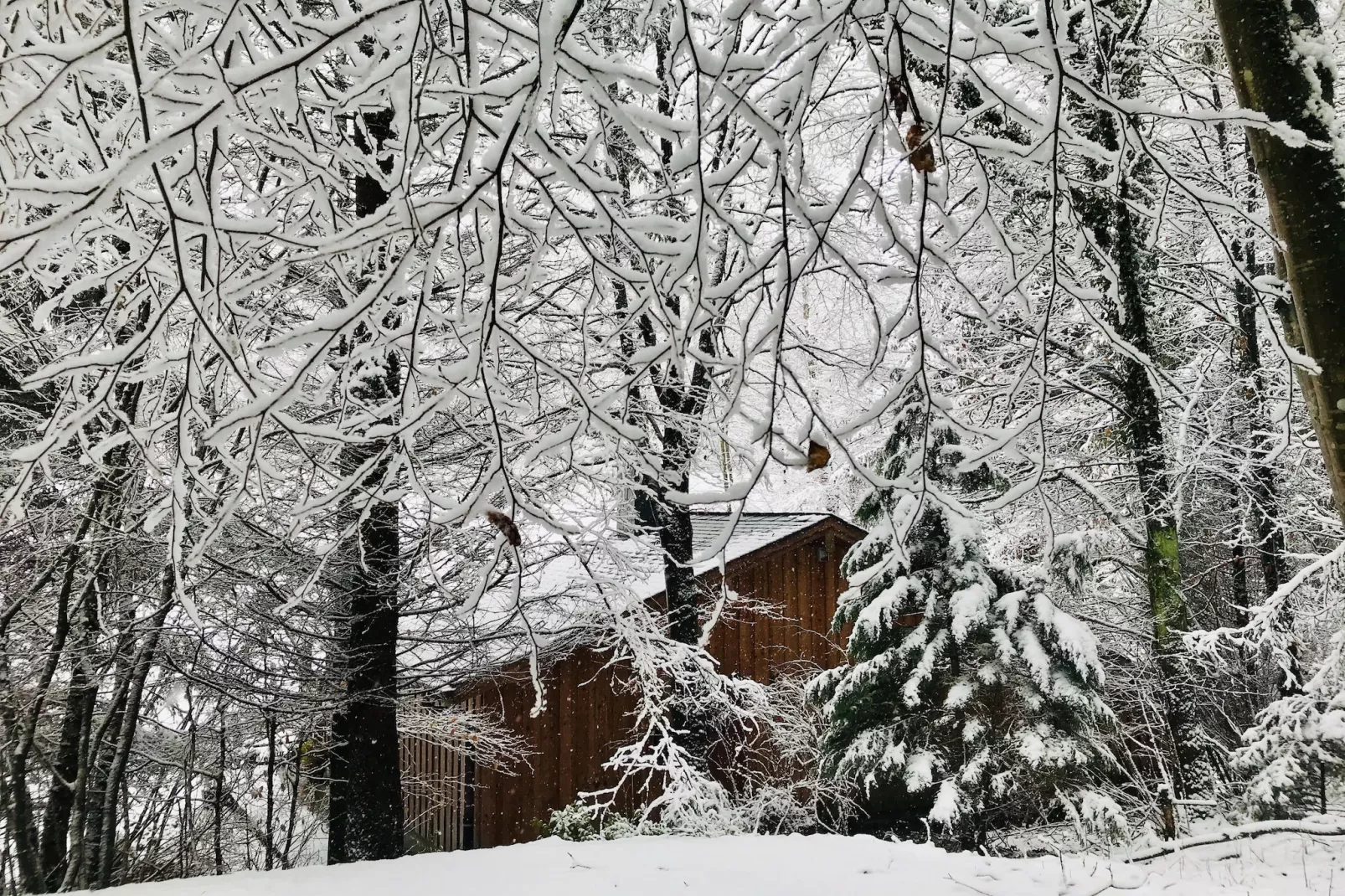 La Linotte - Gebied winter 1km
