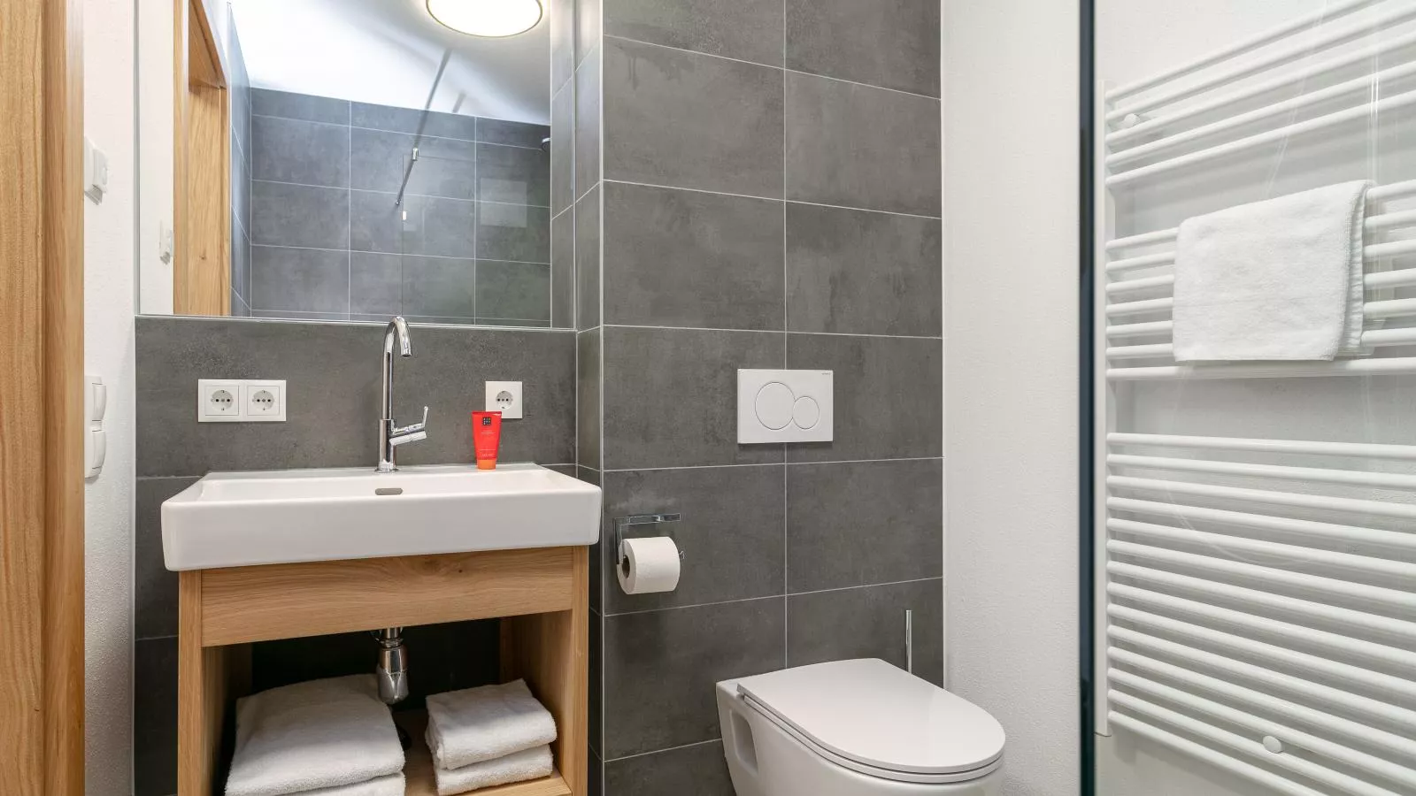 Tauernlodge Eben C1 - Badkamer