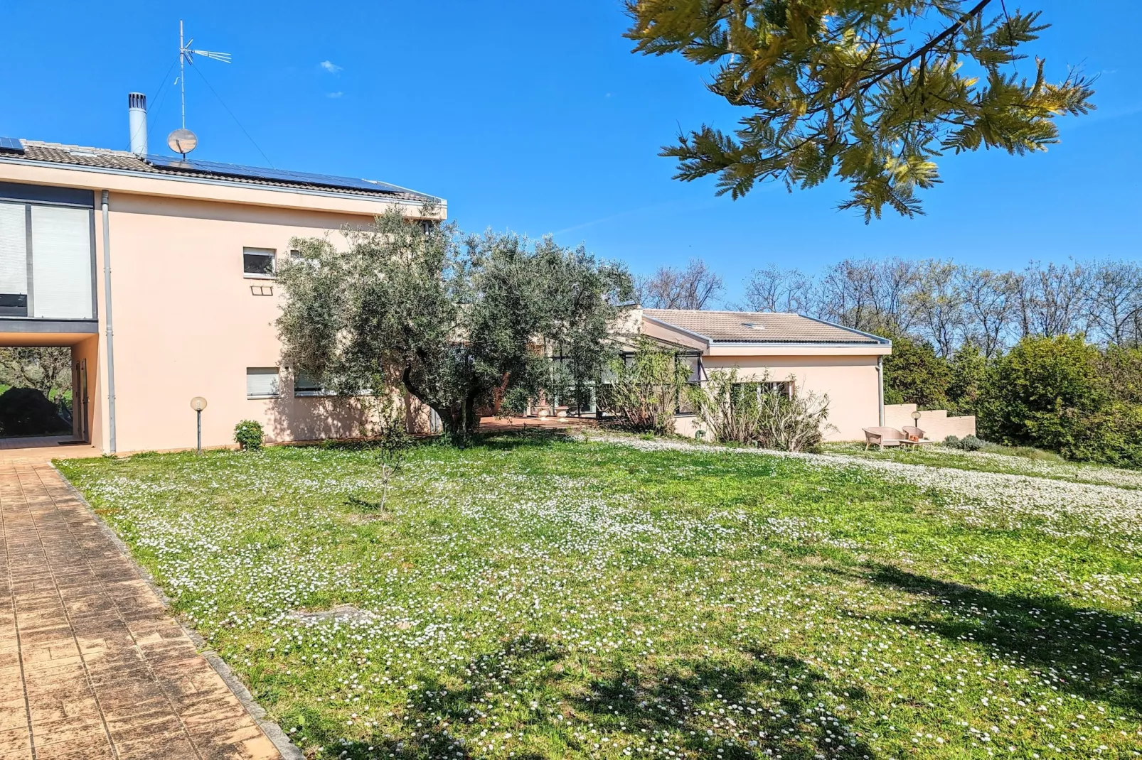 Villa tra gli Ulivi - Buitenkant zomer