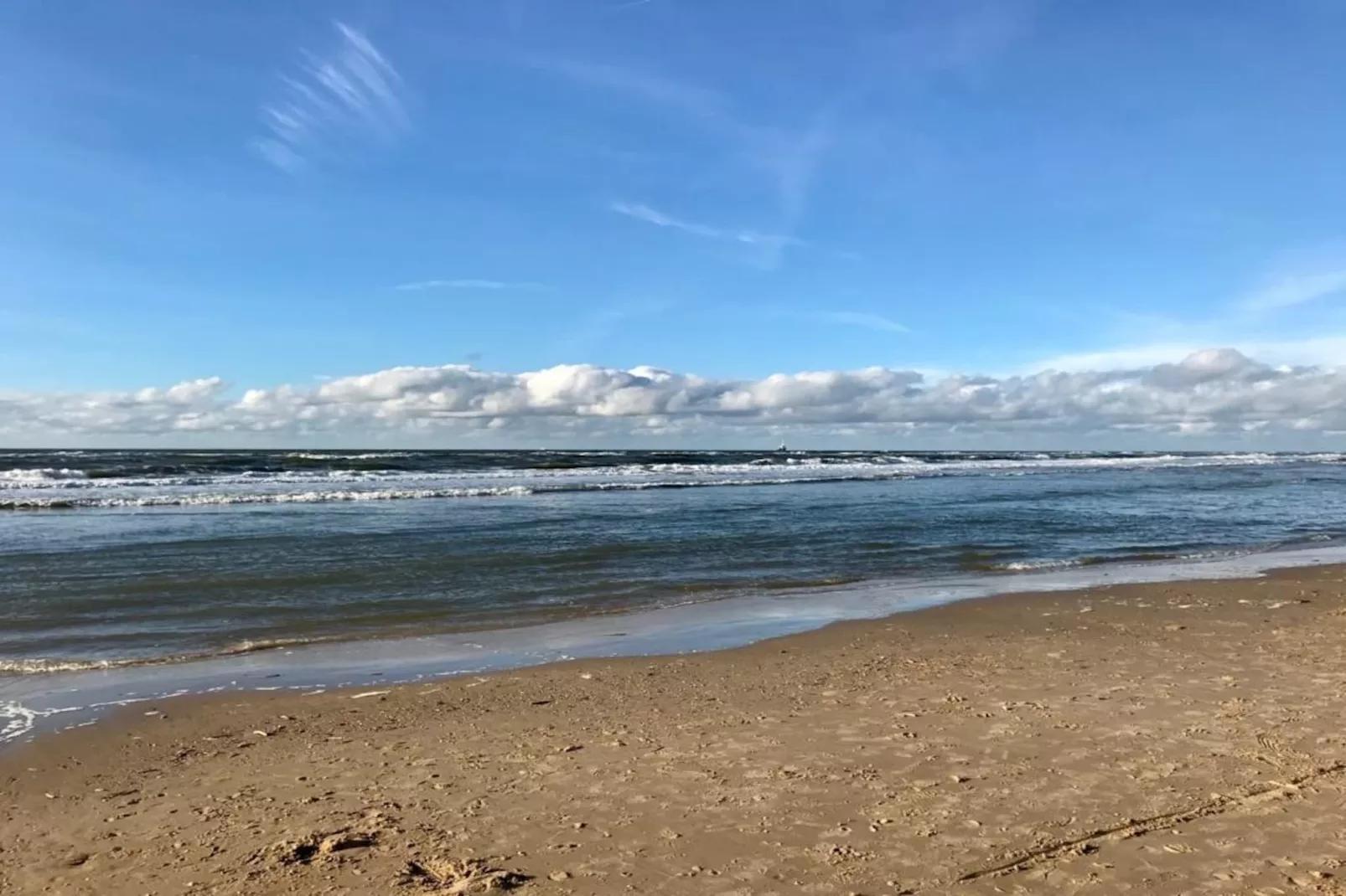 Zon in de duinen - 33 - Gebieden zomer 1km