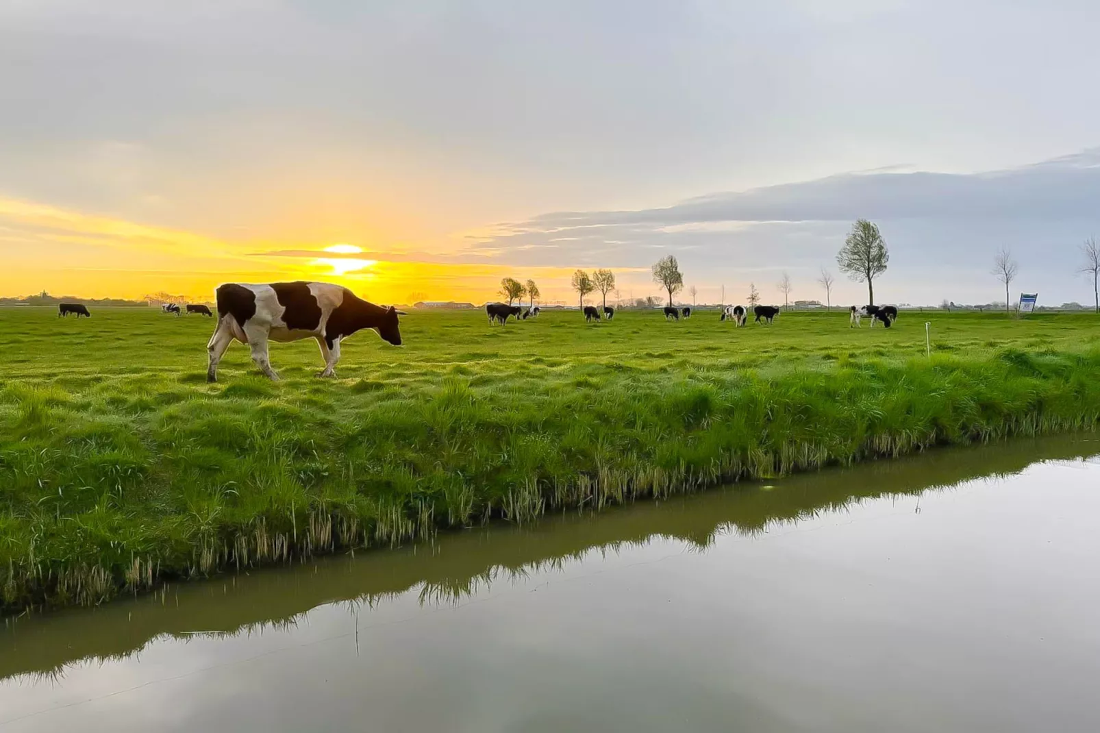 Zon in de duinen - 33 - Gebieden zomer 1km