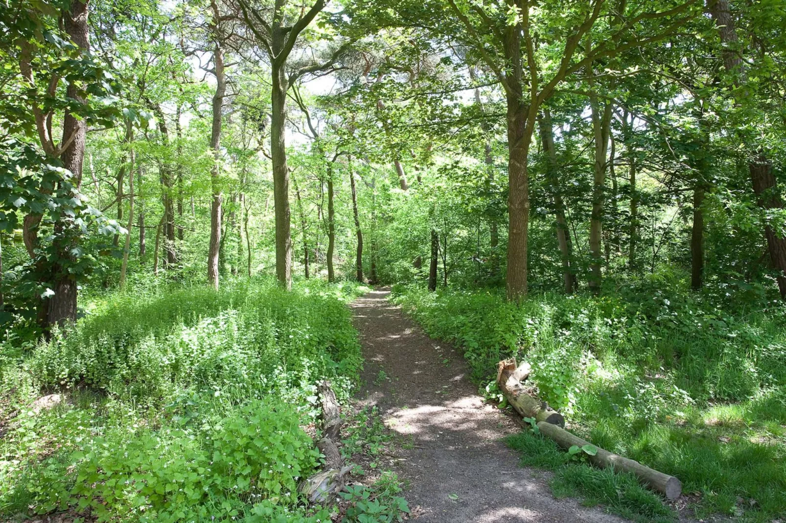 Betonnen Boshuis - Gebieden zomer 1km
