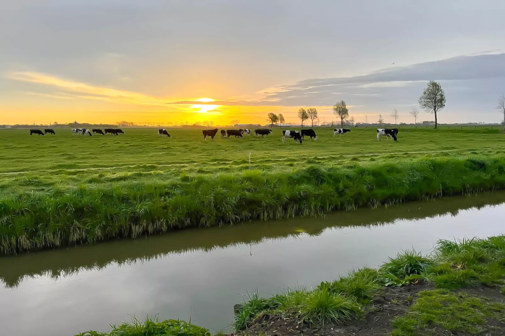 Zon in de duinen - 33 - Gebieden zomer 5km