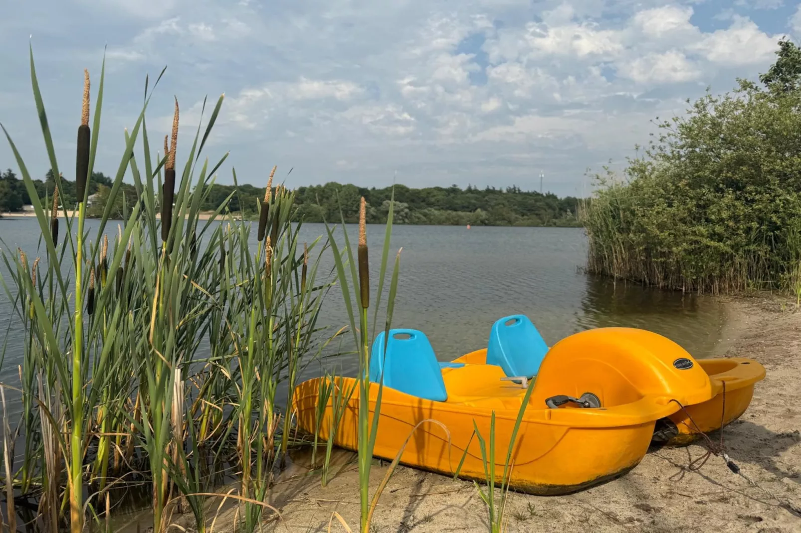 Holiday home Torenvalk - Faciliteiten