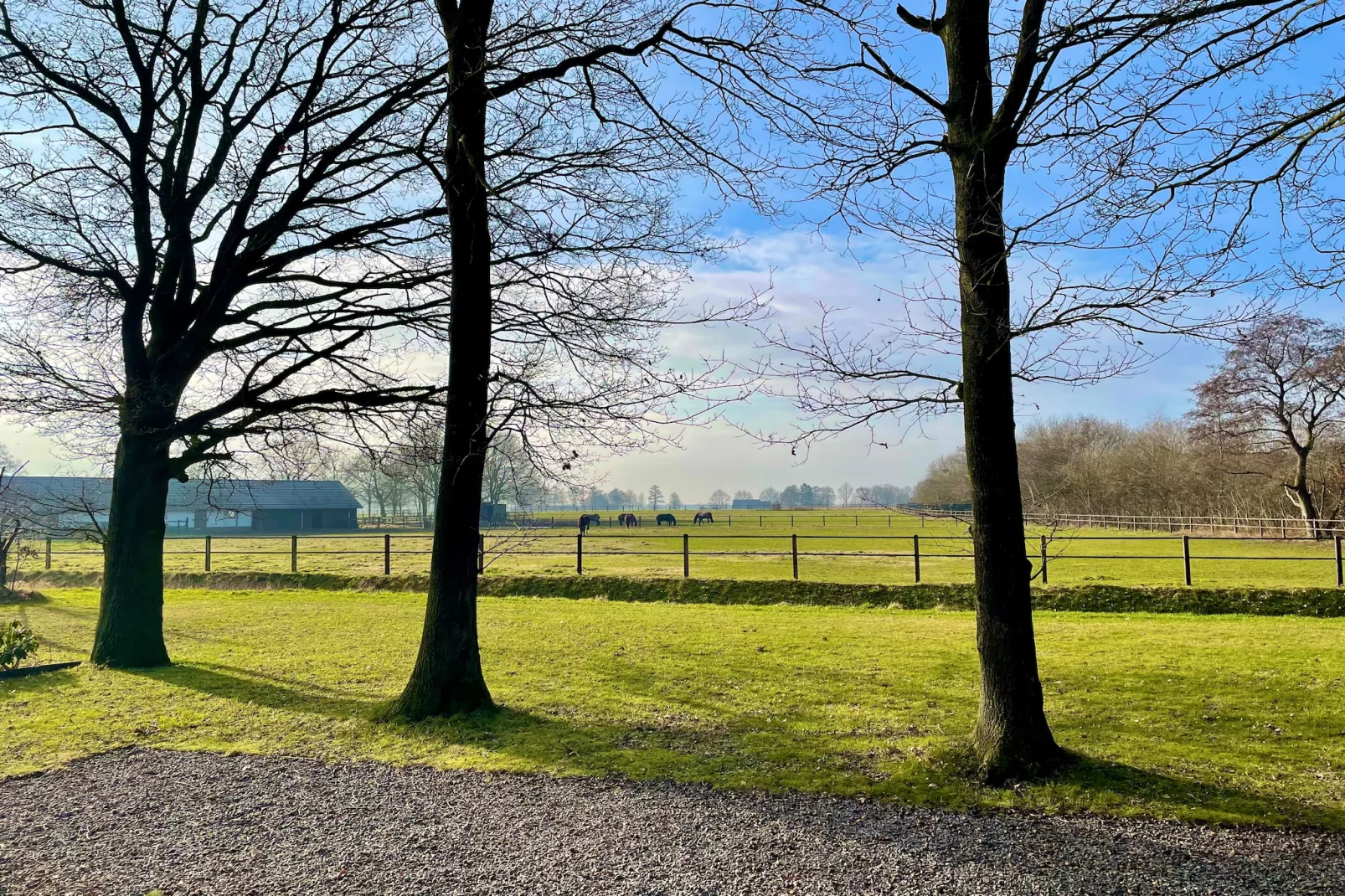 Salland Hideaway - 4 persons - Gebieden zomer 1km