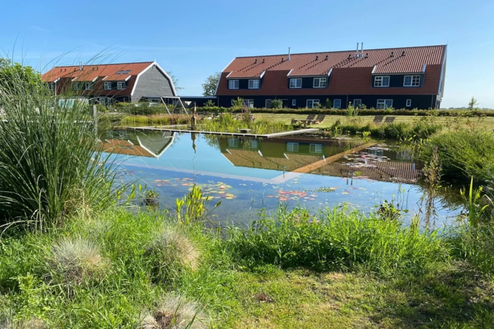 Waddenweelde Texel - Gebieden zomer 1km