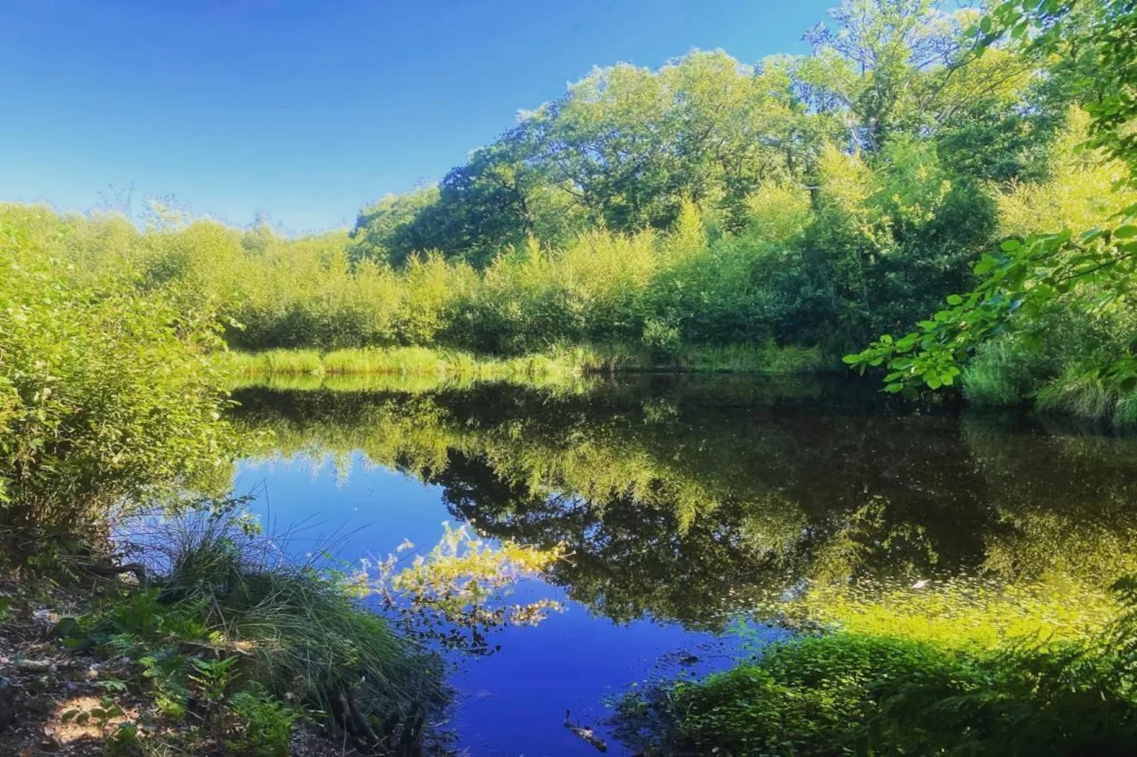De Groninger Zeeuw - Gebieden zomer 1km