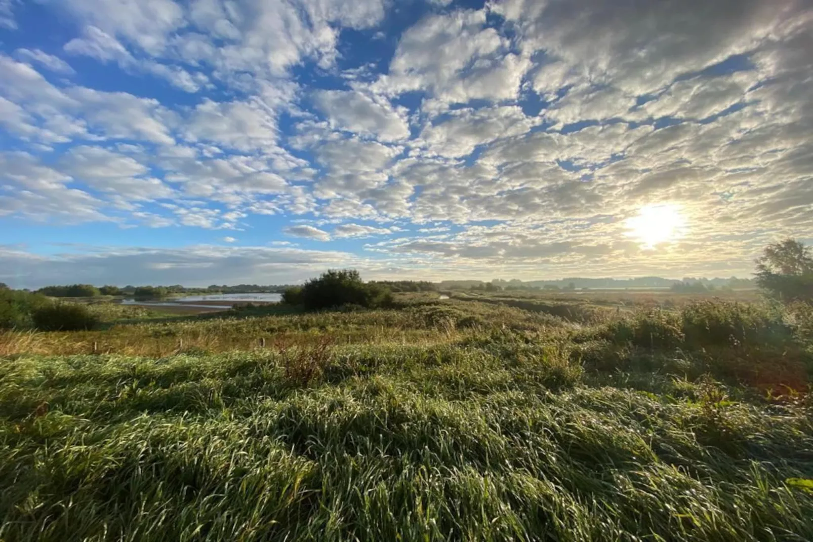 De Groninger Zeeuw - Gebieden zomer 5km