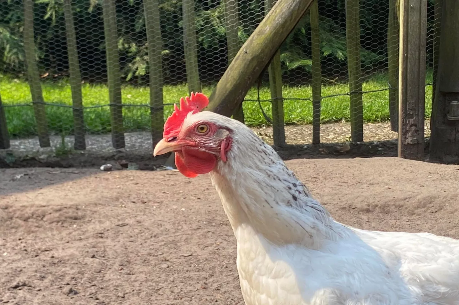 De Groninger Zeeuw - Sfeer