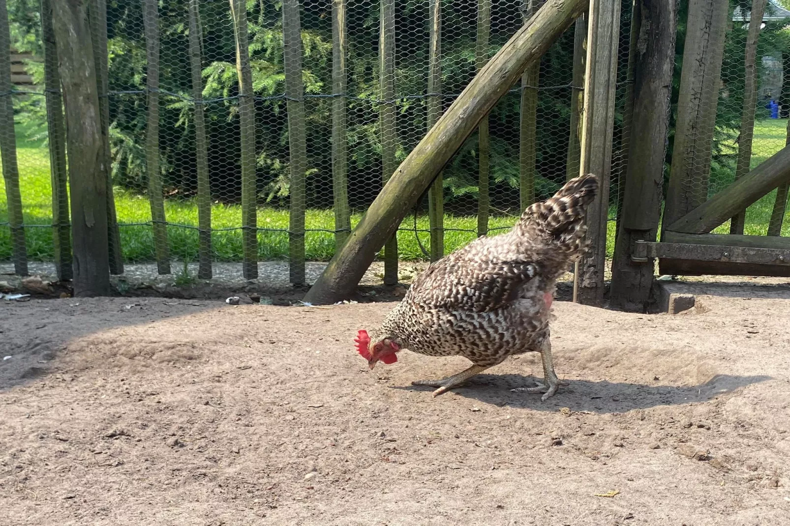 De Groninger Zeeuw - Sfeer