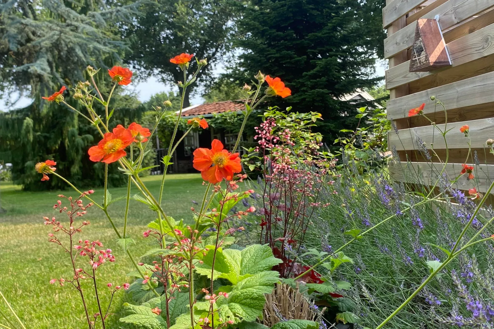 De Groninger Zeeuw - Sfeer