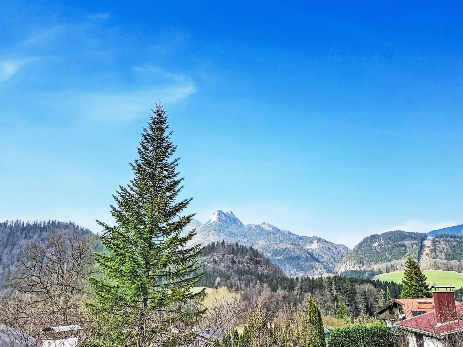 Wohnung 305 Bergblick - Omgeving