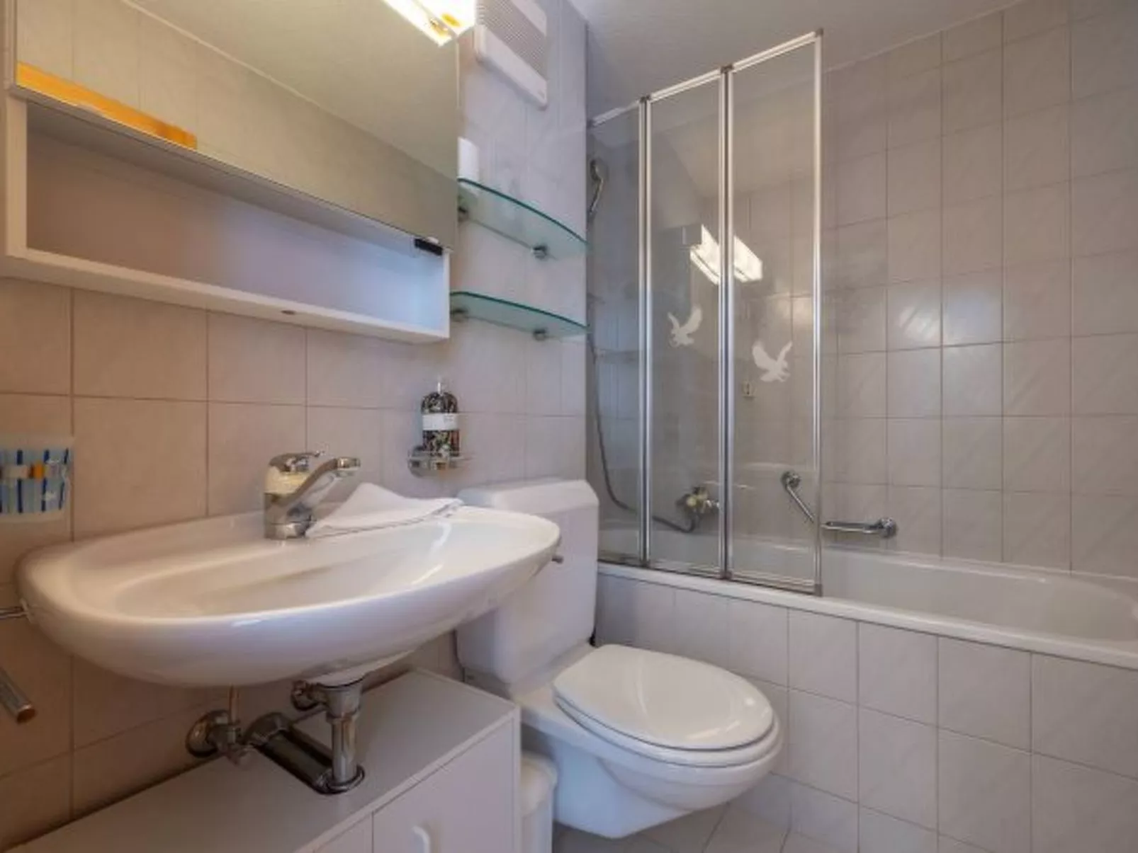 Les Busards 18 - centre Nendaz