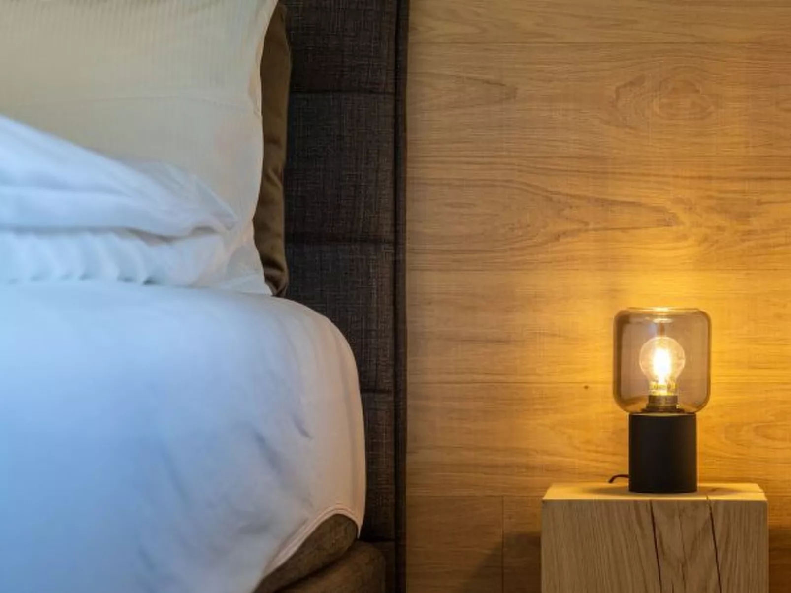 Ecluses 6 - Nendaz centre & close to ski lift - Binnen