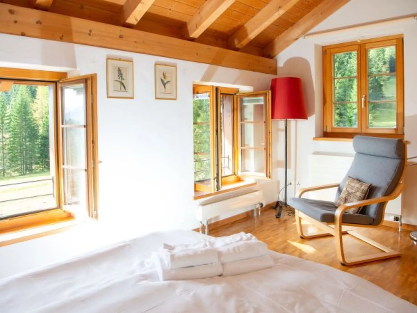 Ski in & Ski out Alphütte-Maiensäss Acla Pala Lenzerheide - Binnen