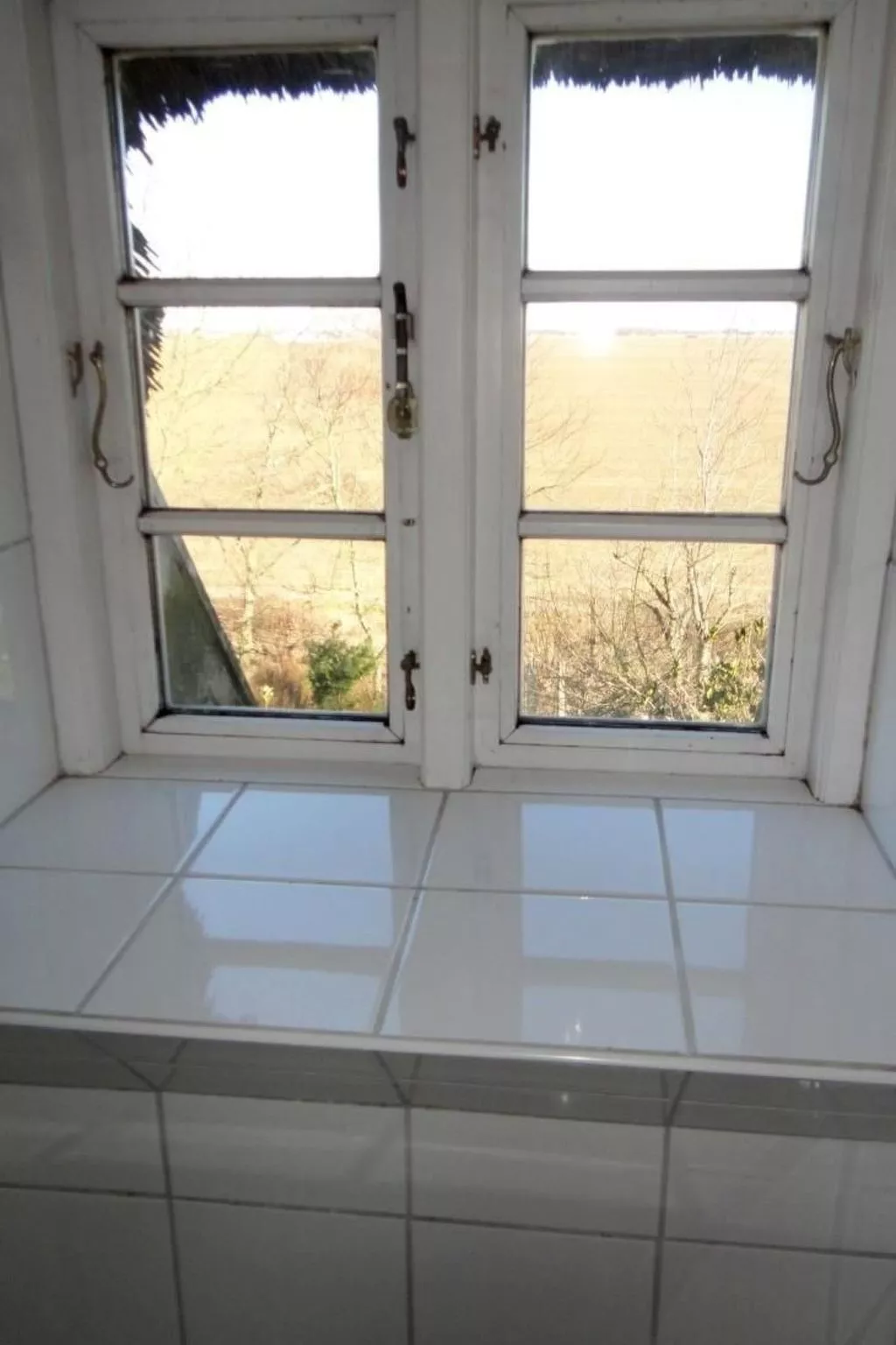 Wohnung in einem reetgedeckten Friesenhaus aus dem Jahr 1860 - Binnen