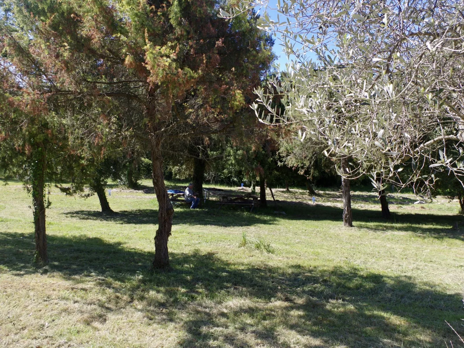 Villa Bienêtre - Buiten