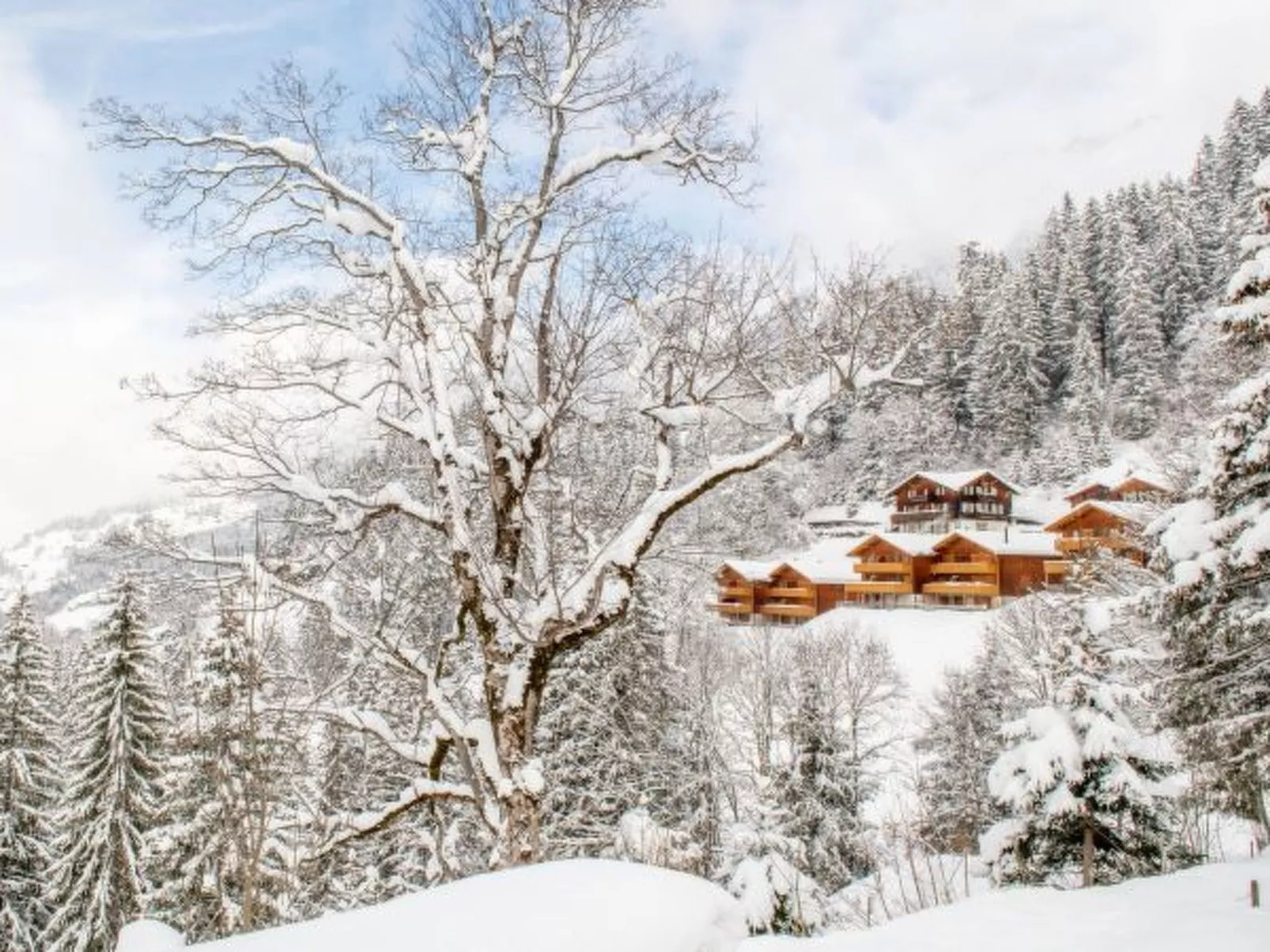 Racers Retreat 10 - Buiten