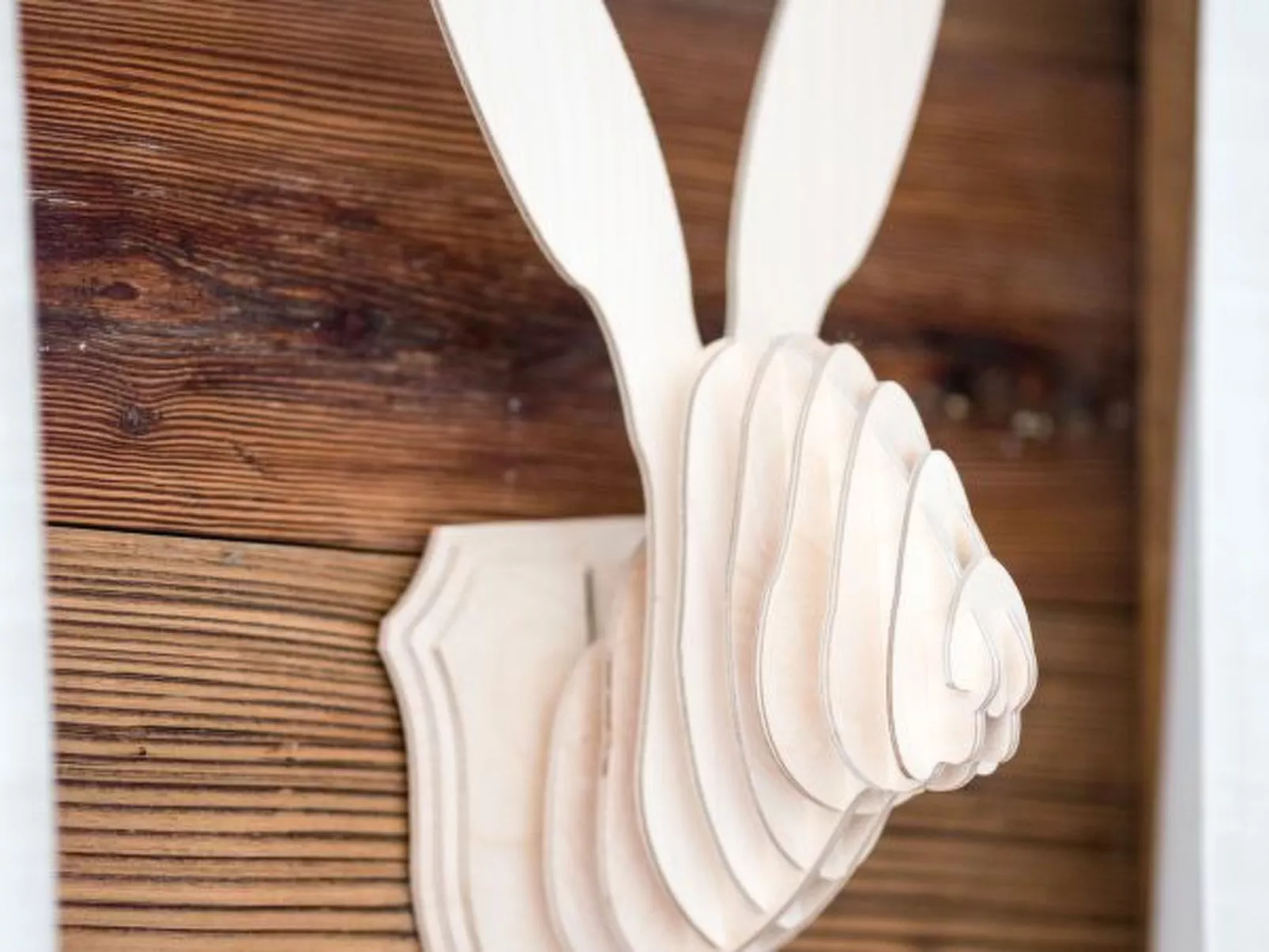 Grimpeur luxury duplex, Spa Access Front Telecabin - Binnen