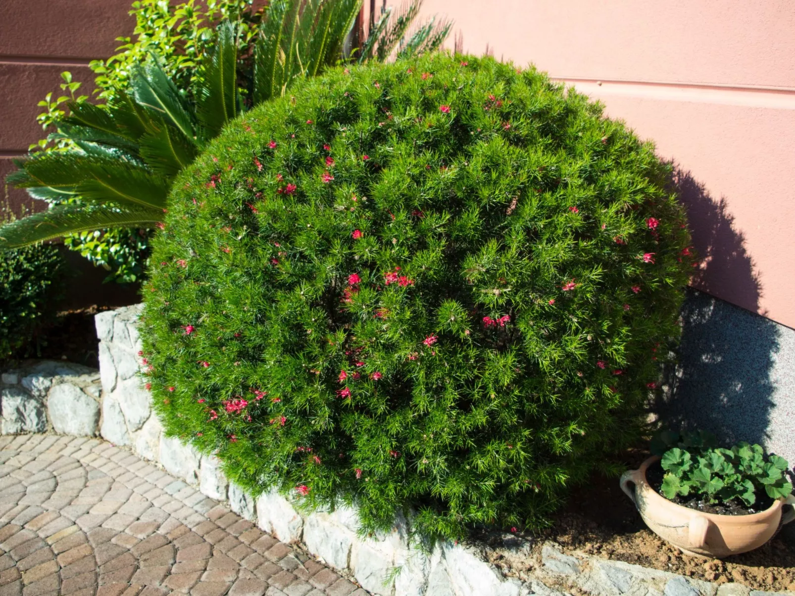 Modernes Apartment mit großer Terrasse und Grillmöglichkeit - Image-tags.info