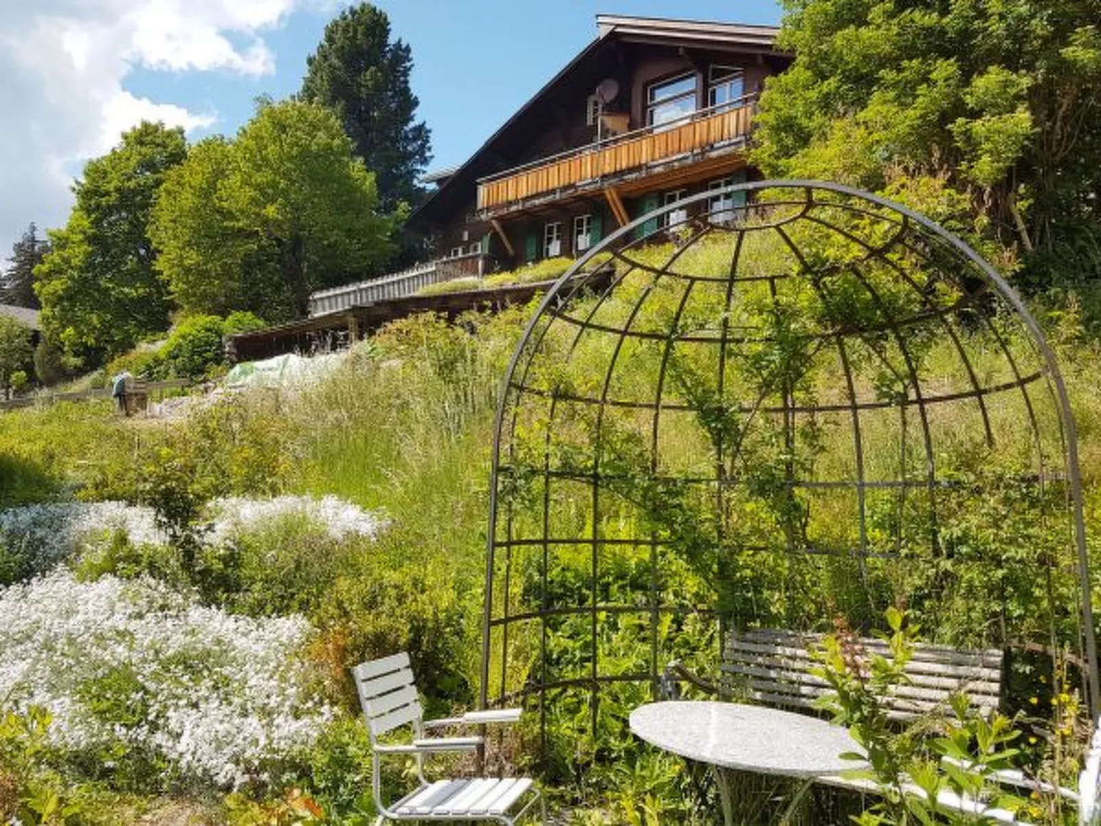 Chalet Ledibach - Buiten