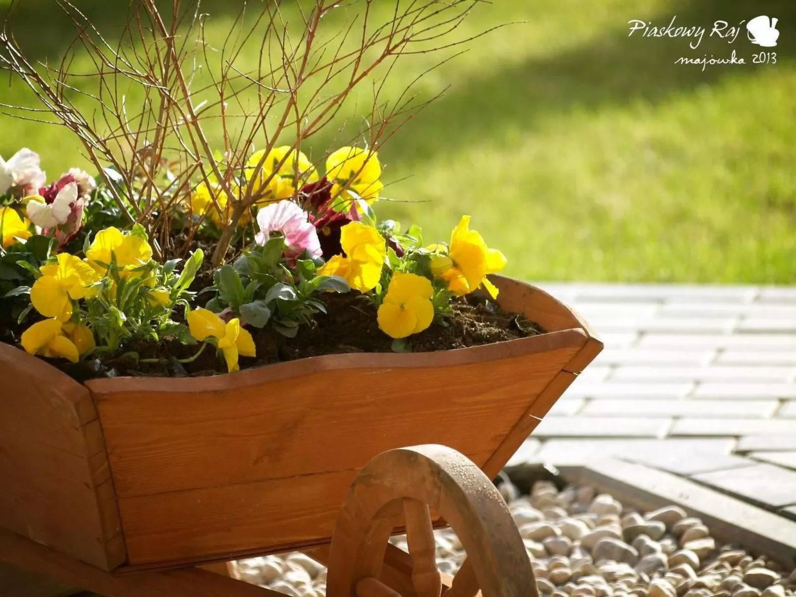 "Ferienwohnung" mitten im Grünen - Buiten