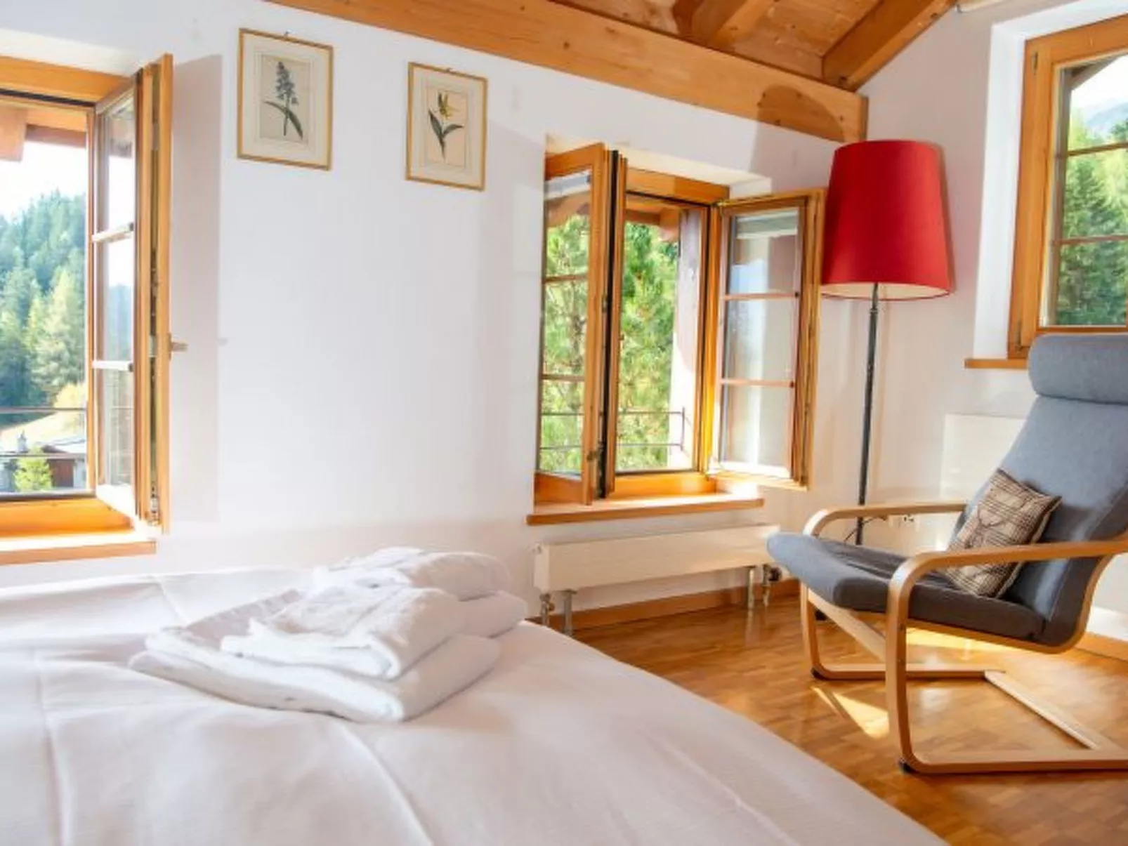 Ski in & Ski out Alphütte-Maiensäss Acla Pala Lenzerheide - Binnen