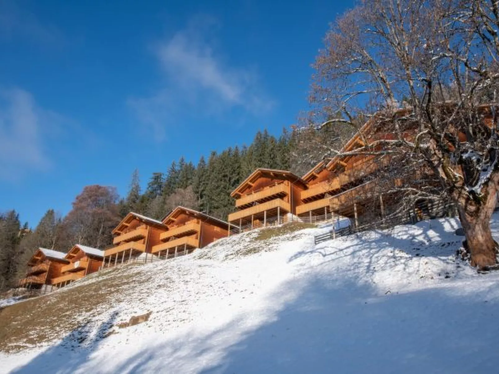 Racers Retreat 10 - Buiten