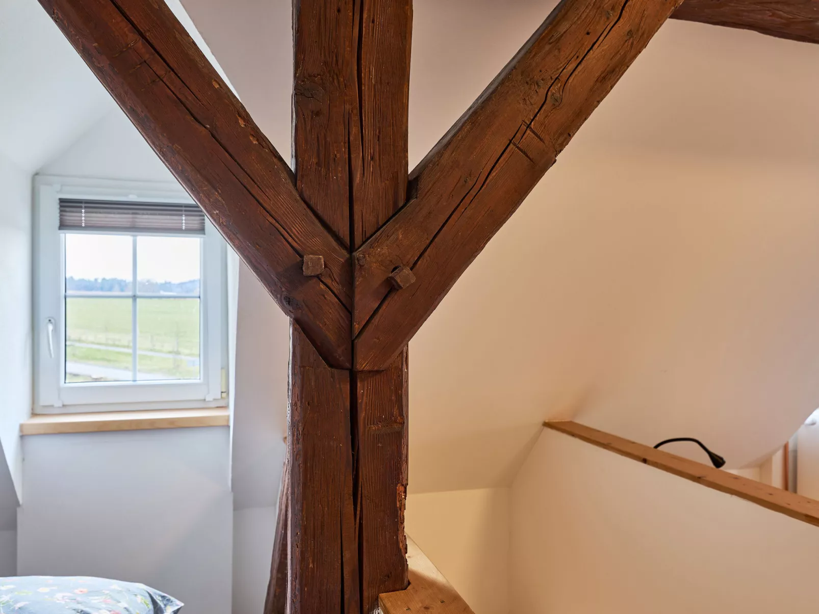 Růžová 1 - Binnen