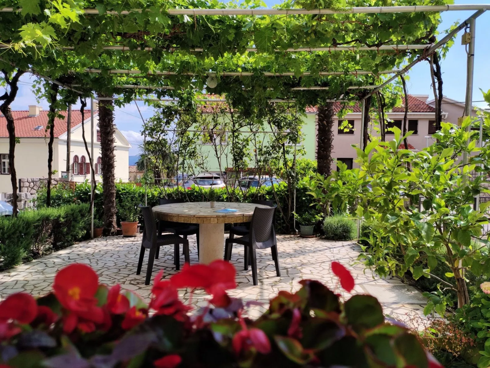 Vladimir - Image-tags.info