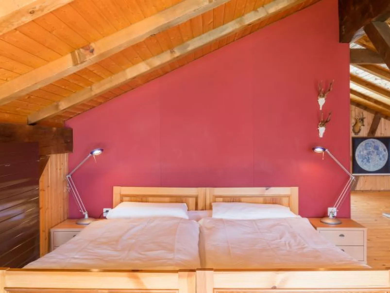 Panorama Salums - Binnen