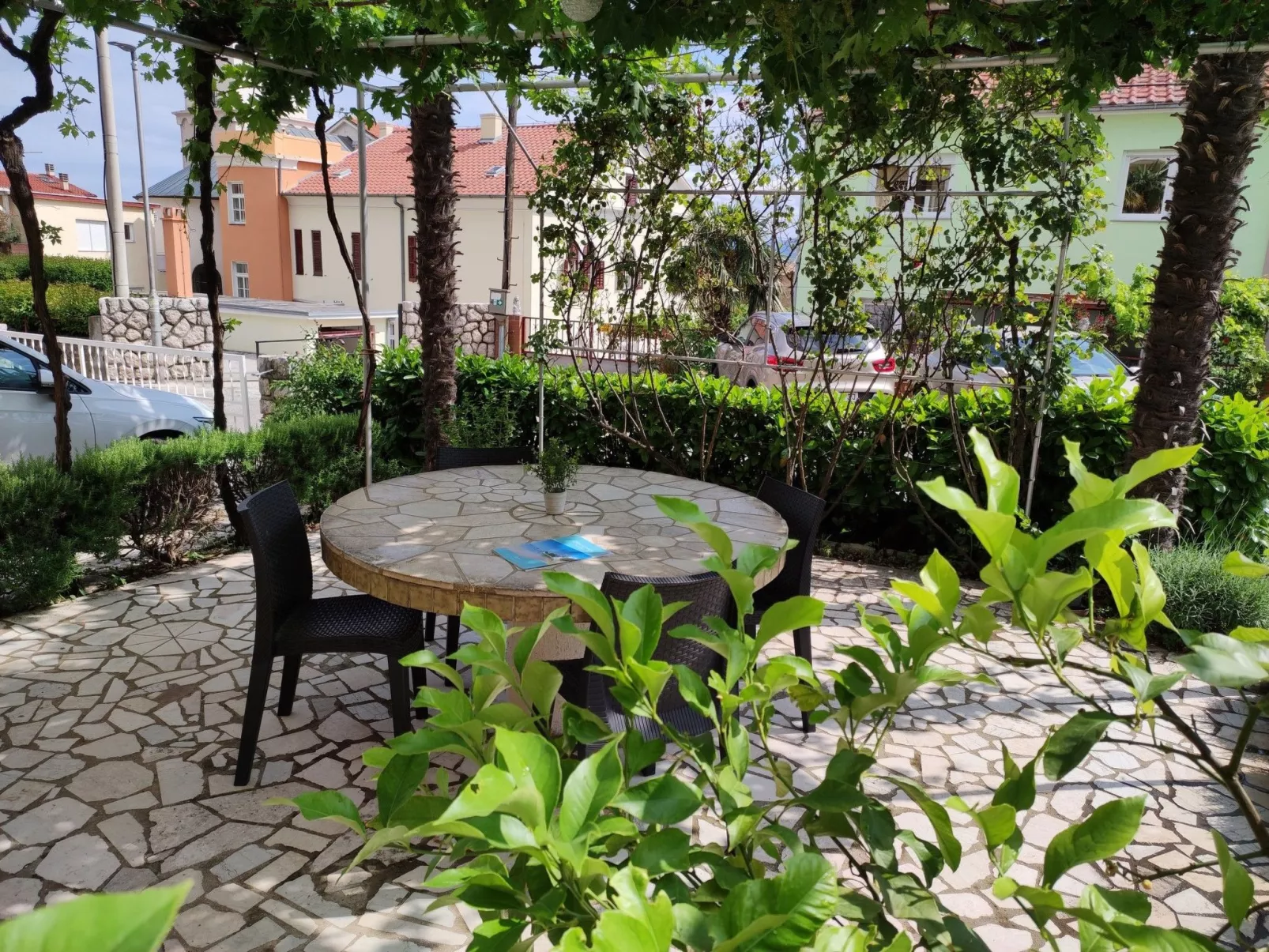 Vladimir - Image-tags.info