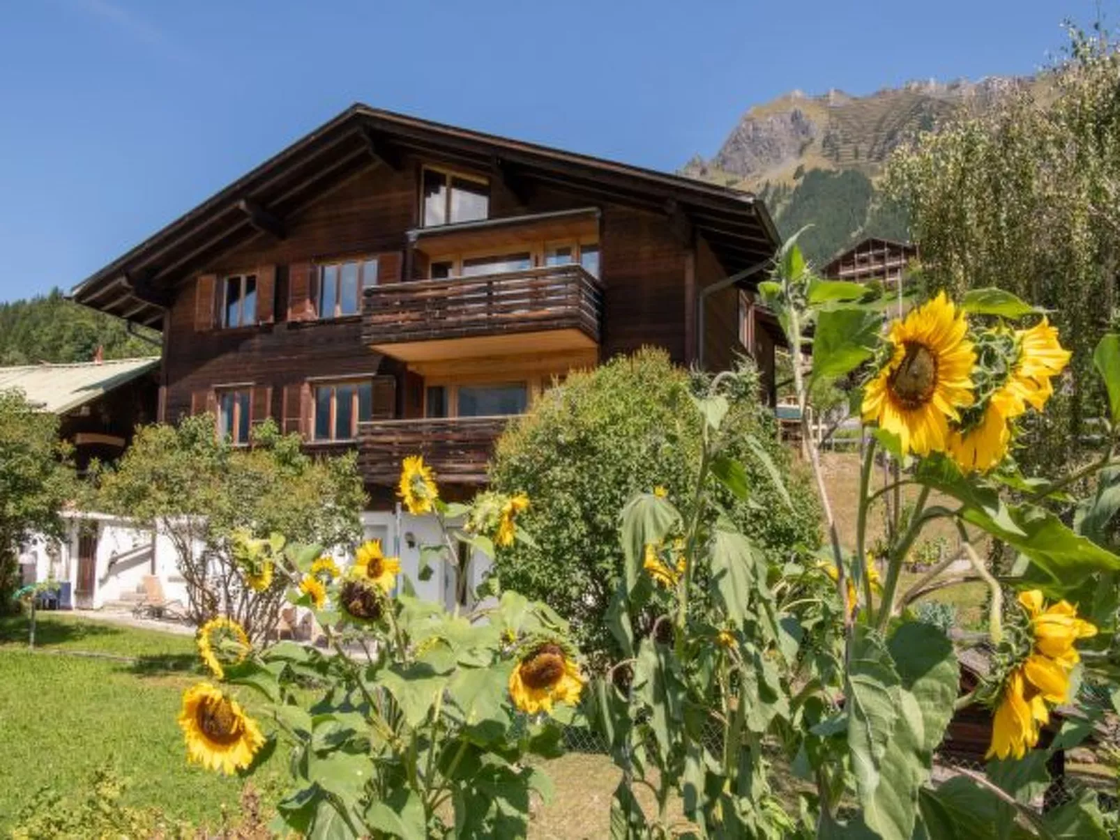 Chalet Iris - Buiten