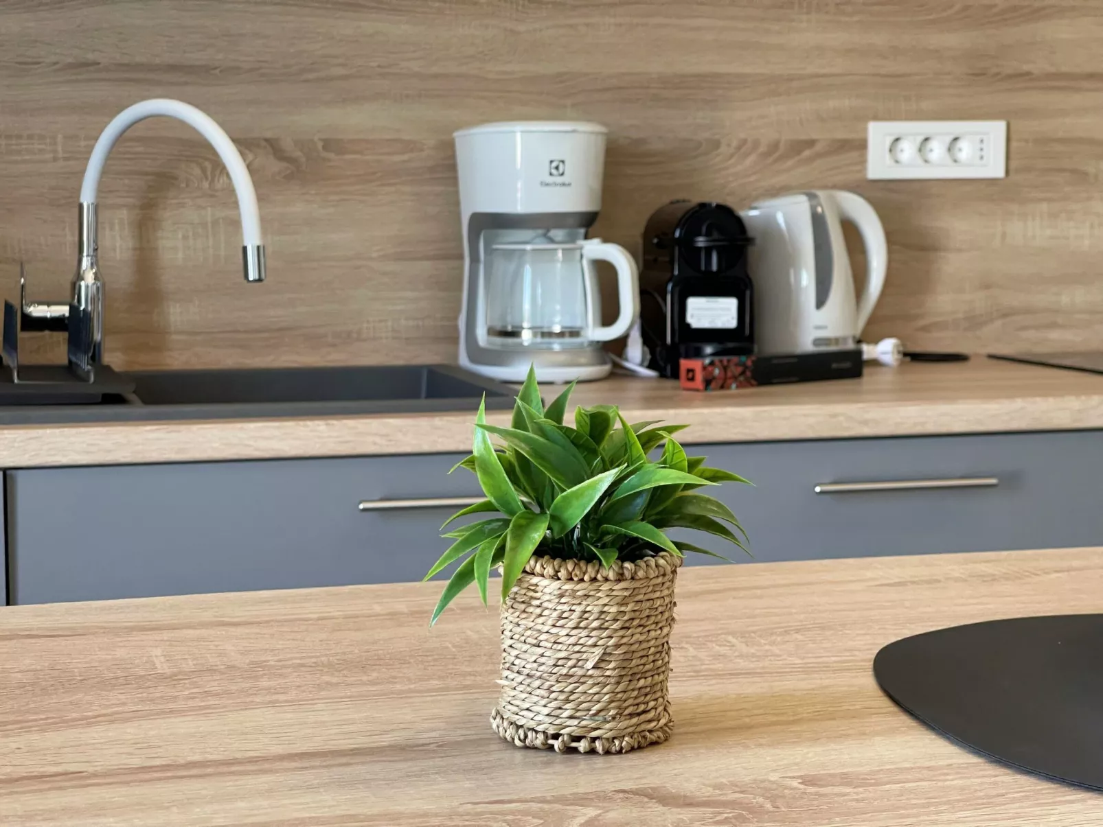 Apartment Bonum - Image-tags.info