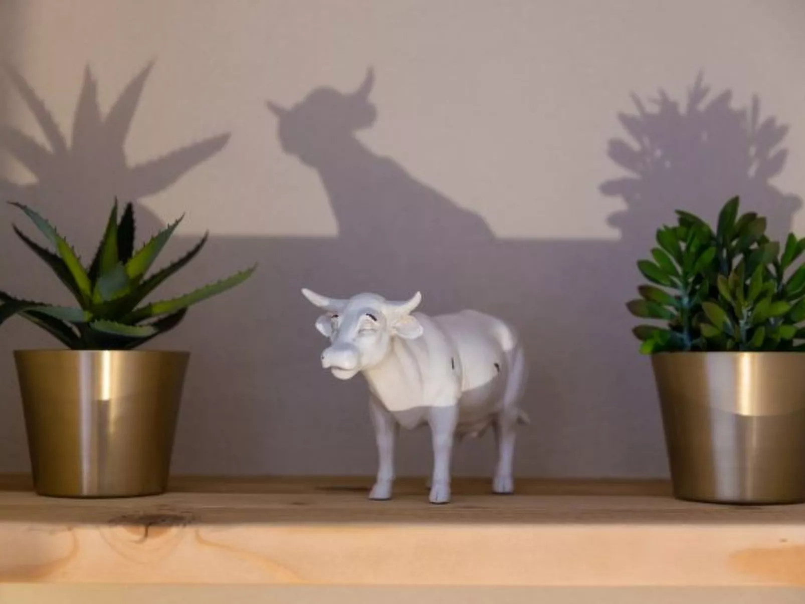 Nendaz 2 bedroom apartment - close ski lift (R27) - Binnen