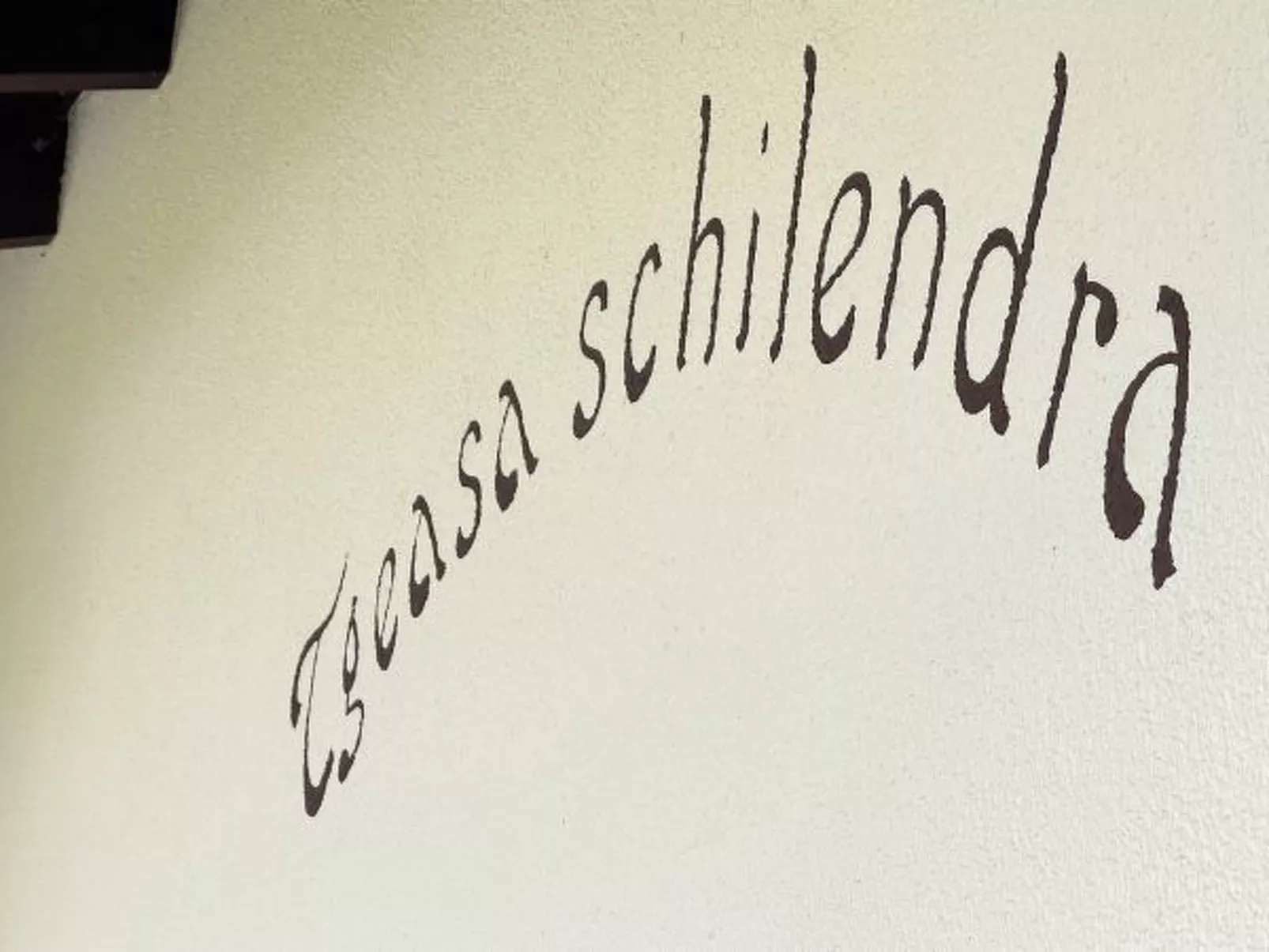 Mit Garten Tgeasa Schilendra-Lantsch/Lenz - Buiten