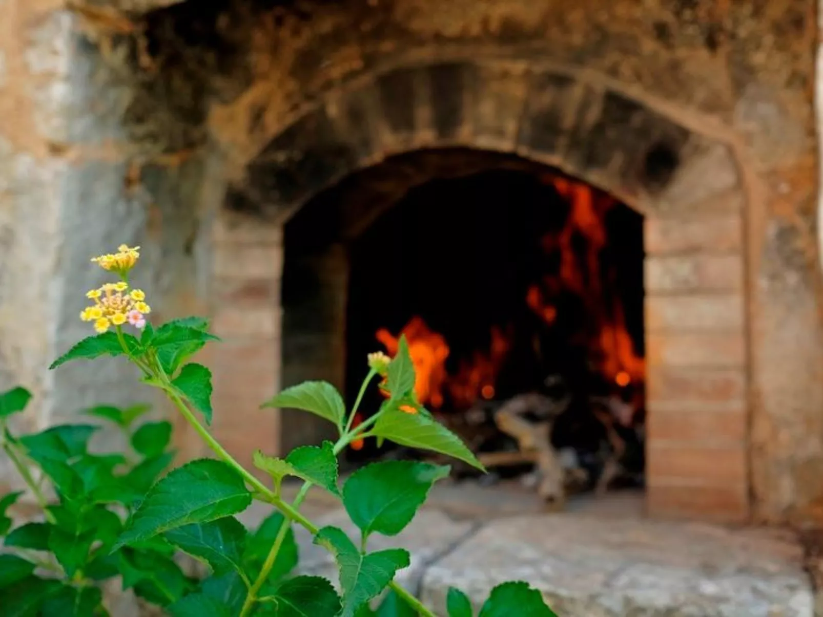 Masseria Ortensia - Image-tags.info