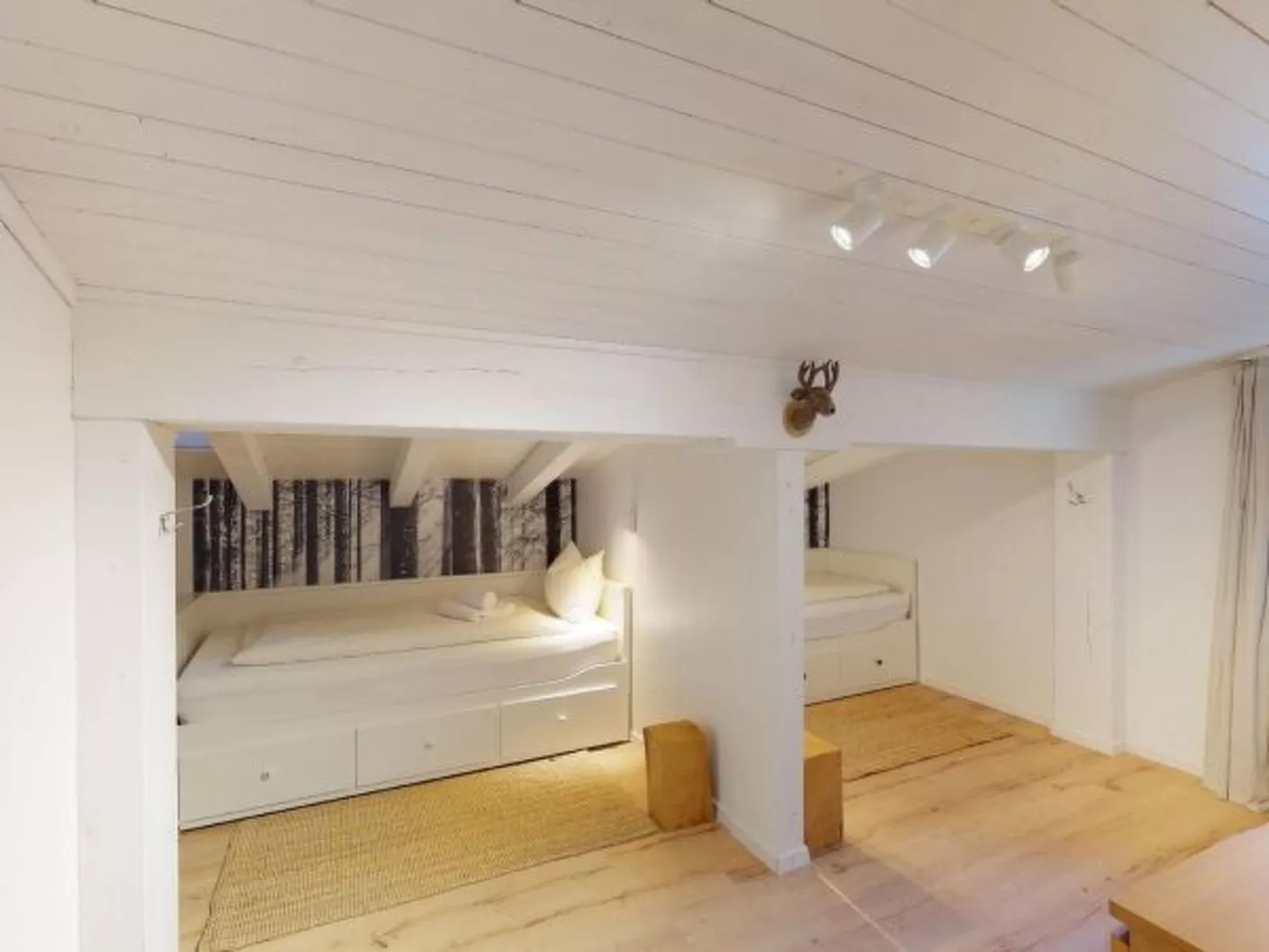 Luscheina in Valbella Ski-in/Ski-out - Binnen