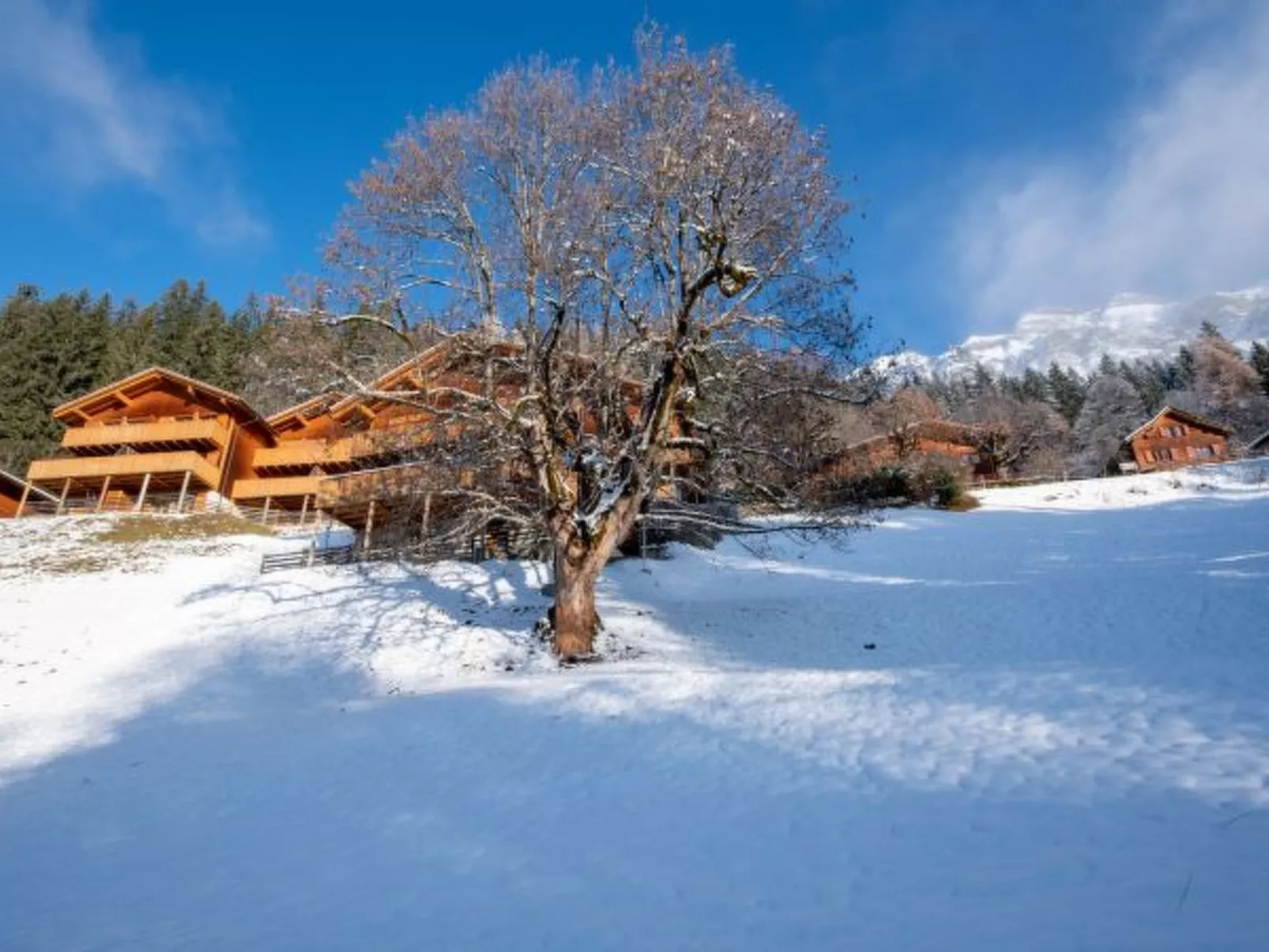 Racers Retreat 10 - Buiten