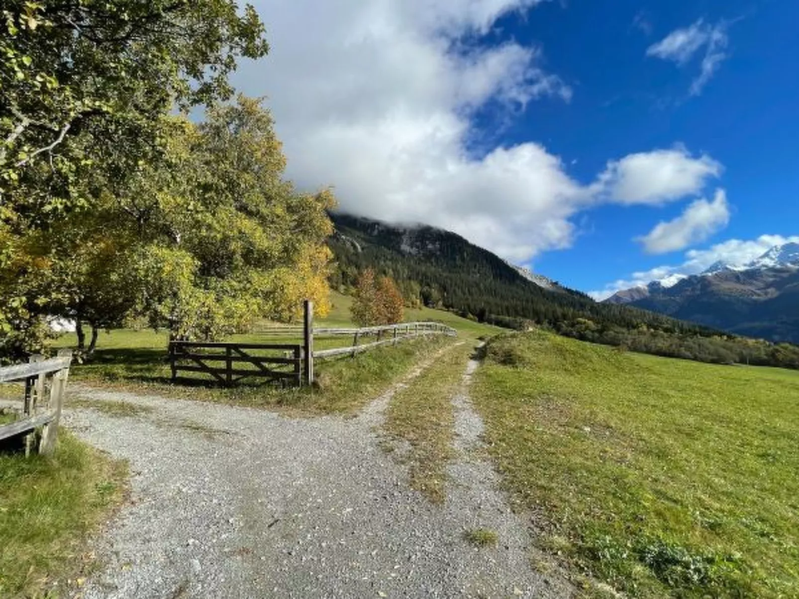 Mit Garten Tgeasa Schilendra-Lantsch/Lenz - Buiten